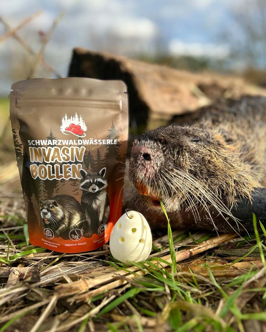 Invasiv Boules – Appât pour ratons laveurs et rats musqués