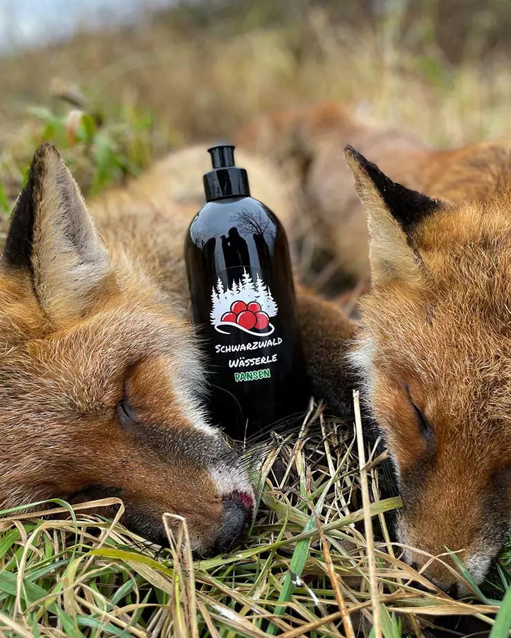 Attractant pour la panse - sanglier et prédateur