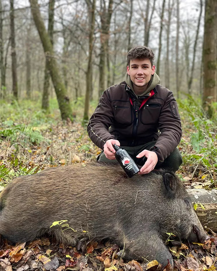 Attractant pour la panse - sanglier et prédateur