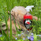 Saltspray Anis - attractif pour le sanglier, le chevreuil, le cerf et le daim