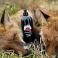 Attractant pour la panse - sanglier et prédateur